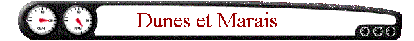 Dunes et Marais